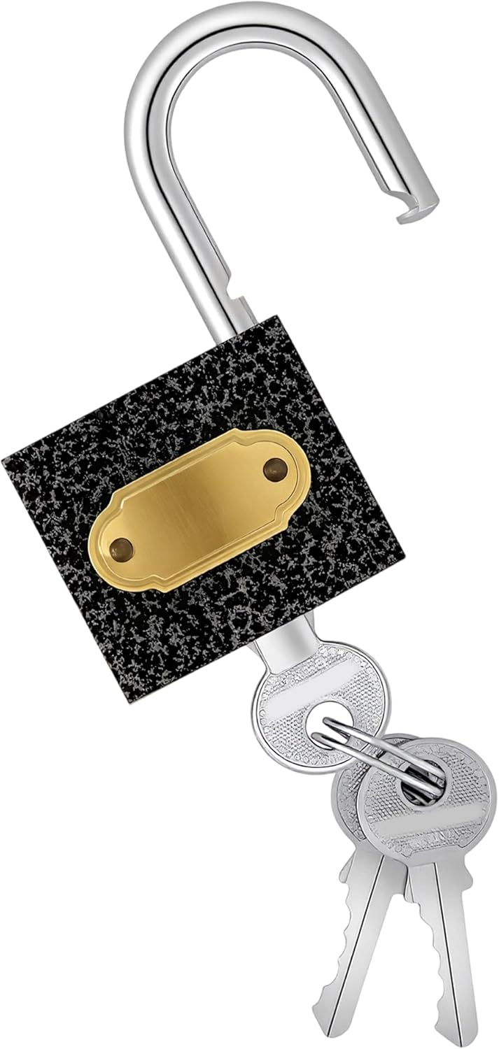 KEILEOHO 14er Set Vorhängeschloss Schwarz, 38mm Vorhängeschlösser mit Schlüssel, Vorhängeschloss Kle