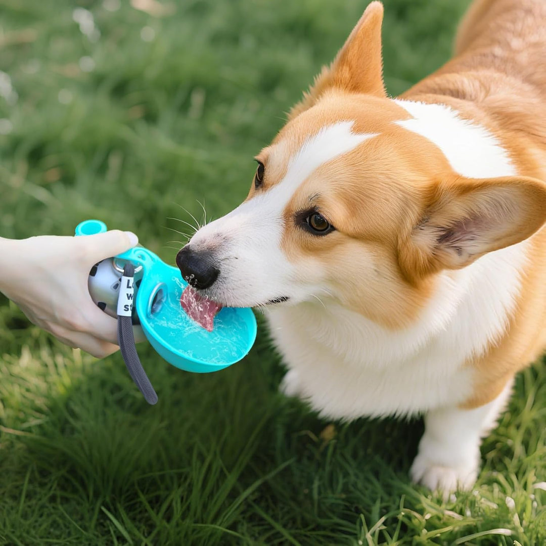 Trinkflasche Hunde für Unterwegs, 285 ml Edelstahl Hunde Trinkflasche mit Faltbarem Silikonnapf, Aus