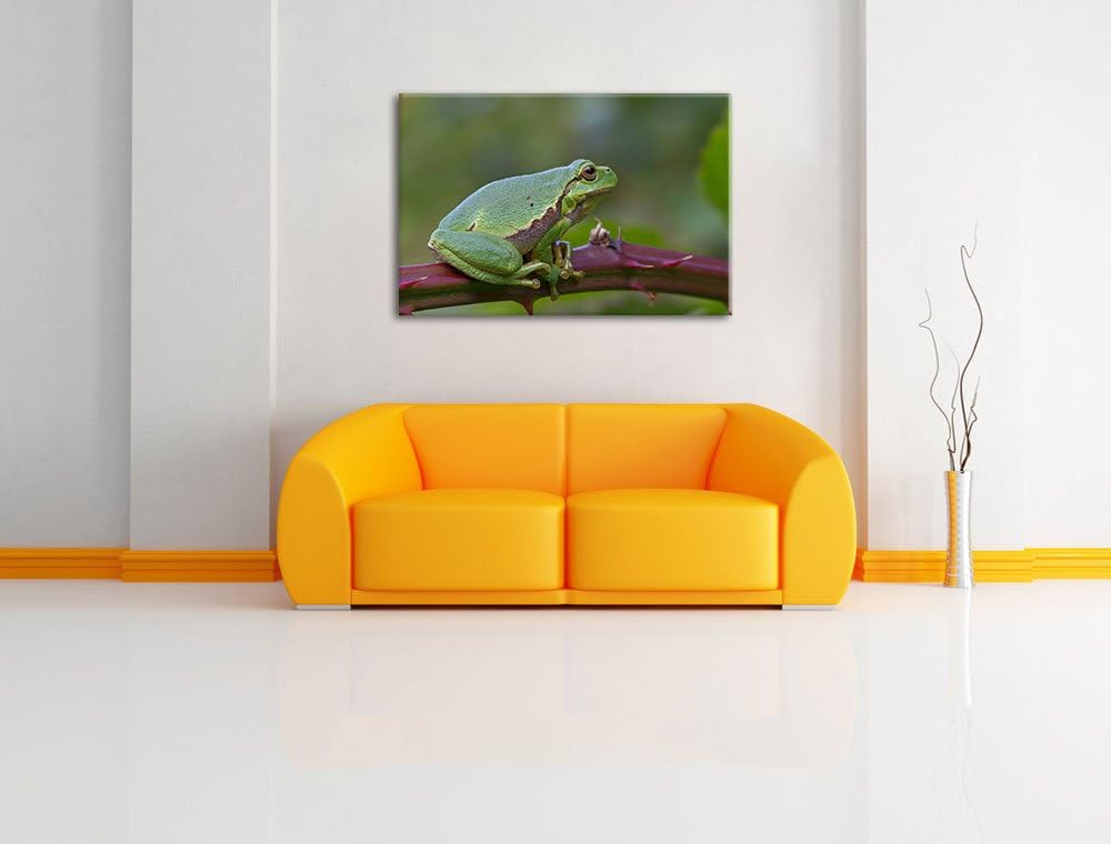 kleiner Frosch auf Dornenast Leinwand, XXL riesige Bilder fertig gerahmt mit Keilrahmen, Kunstdruck