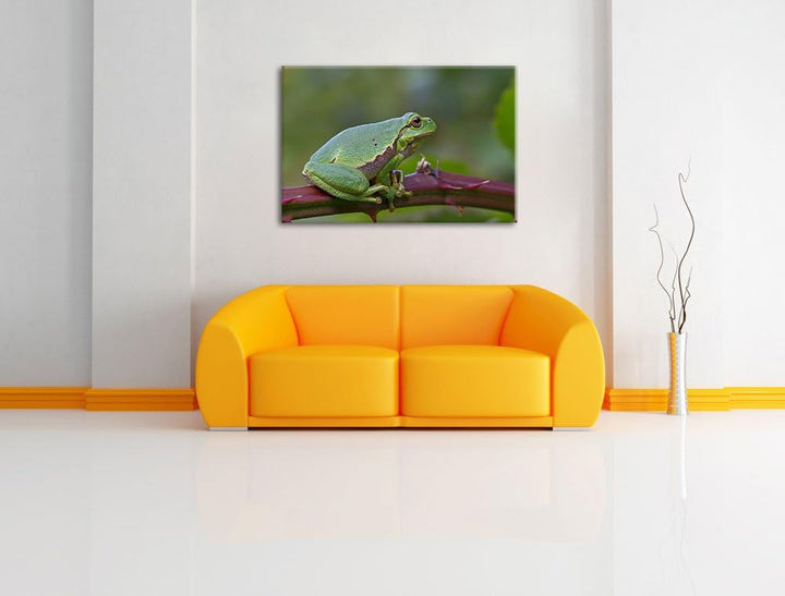 kleiner Frosch auf Dornenast Leinwand, XXL riesige Bilder fertig gerahmt mit Keilrahmen, Kunstdruck