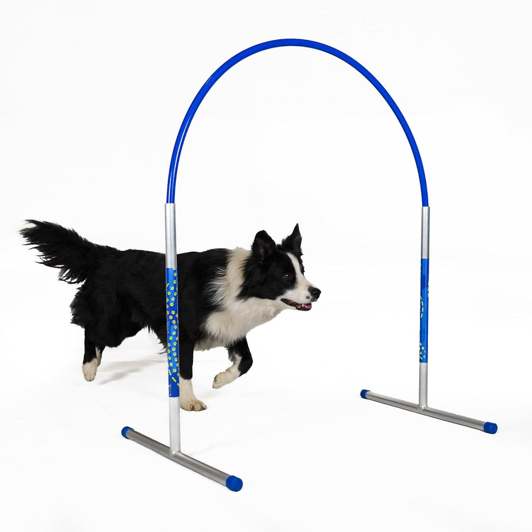 6 x Hoopers Agility Hoops - NADAC Hoopers Agility Hoops (Grosspackung) ALU Hoops (ohne Mittelstrebe)