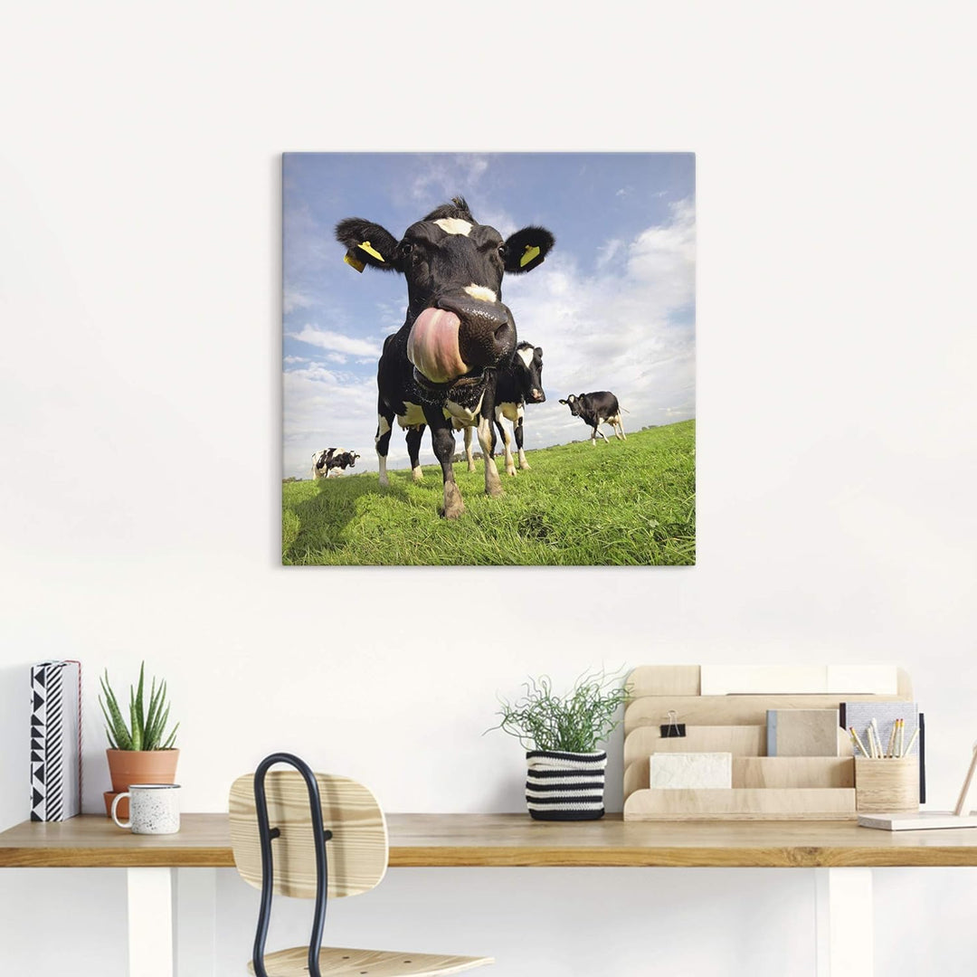 ARTland Leinwandbilder Wandbild Bild auf Leinwand 70x70 cm Kuh Tiere Zunge Lustig Süss Landhaus Baue