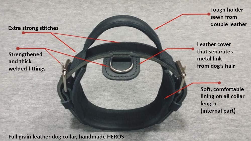 Dingo Gear Hundehalsband Heros aus Leder Grosse 40-52 cm handgefertigt, starker Griff, verstellbar,S