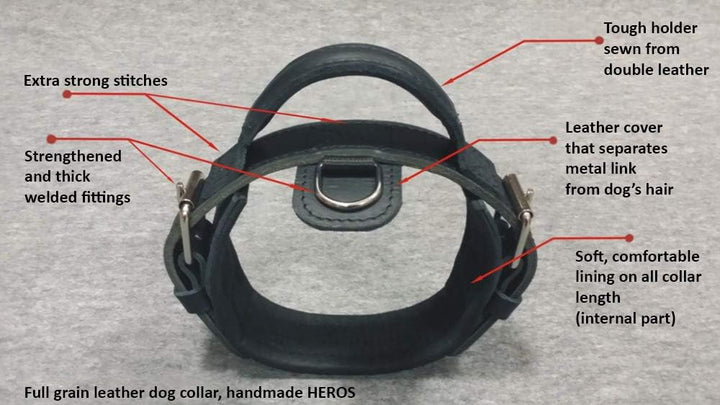 Dingo Gear Hundehalsband Heros aus Leder Grosse 40-52 cm handgefertigt, starker Griff, verstellbar,S