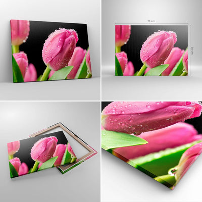 Bilder auf Leinwand Tulpe Blumen Tau Leinwandbild mit Rahmen 70x50cm Wandbilder Dekoration Wohnzimme