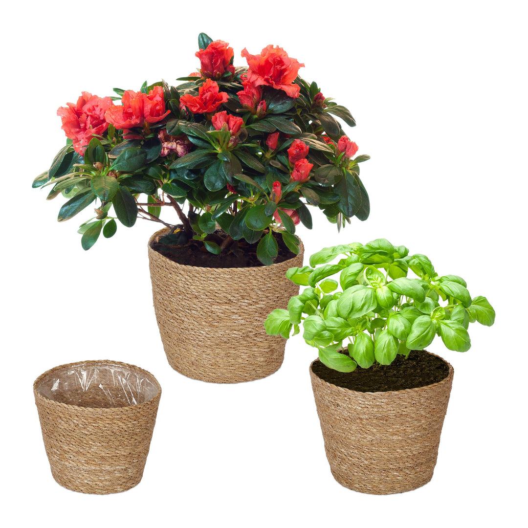 Relaxdays Blumentopf Seegras, 3er Set, rund, für Blumen & Kräuter, Pflanzenkorb mit Folie, 3 Grössen