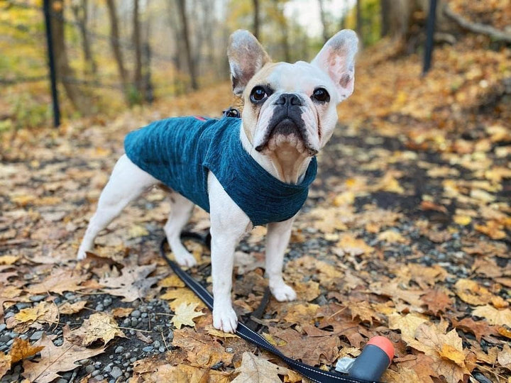 Gooby Zip Up Fleece-Weste für kleine Hunde Turquoise Wash X-Small chest (~9.5"), Turquoise Wash X-Sm
