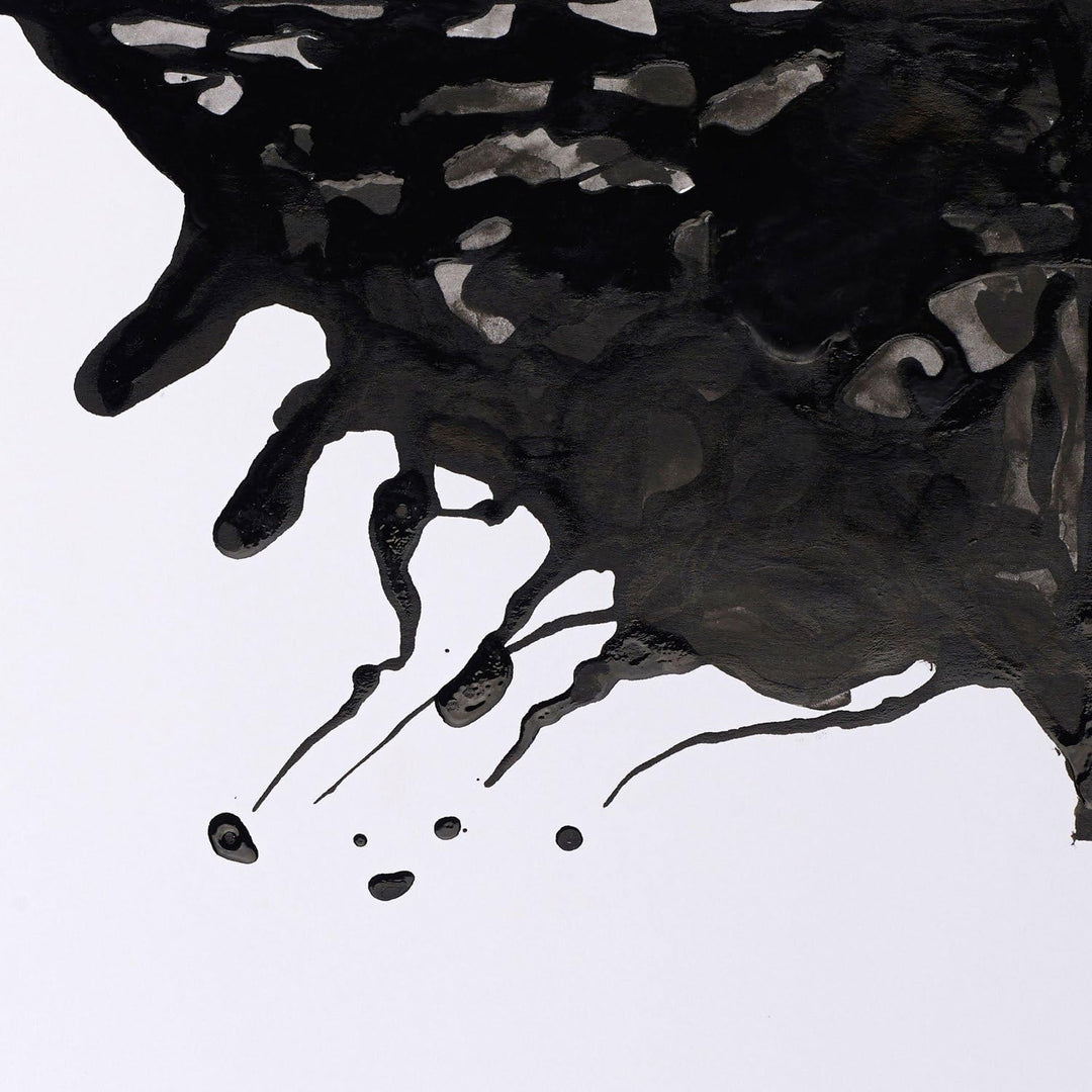 Winsor &amp; Newton 1050030 Drawing Inks - Zeichentusche für Kalligraphen, Illustratoren, Grafikern, Kün