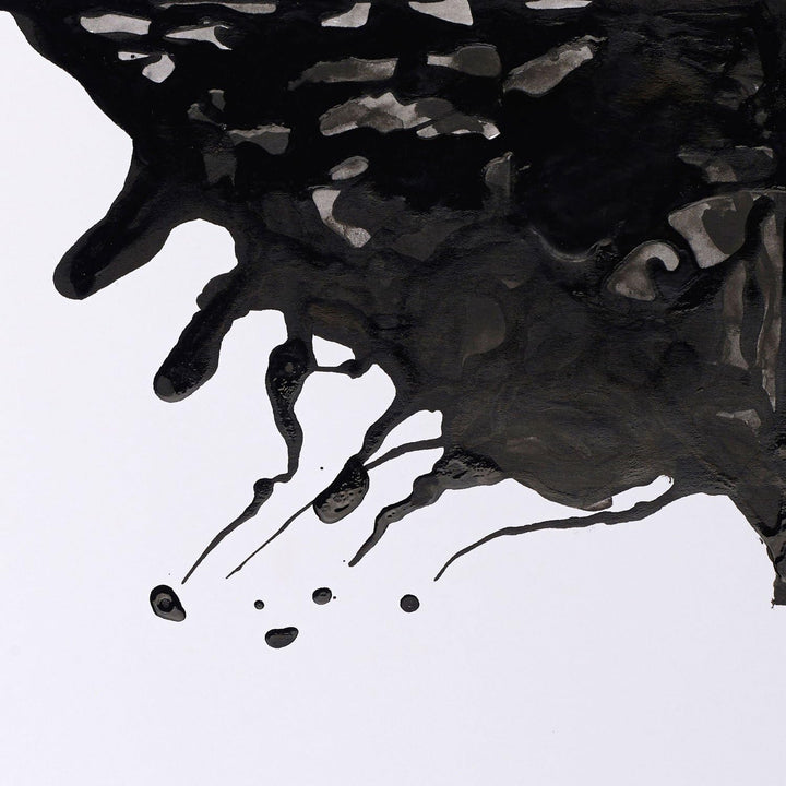 Winsor &amp; Newton 1050030 Drawing Inks - Zeichentusche für Kalligraphen, Illustratoren, Grafikern, Kün