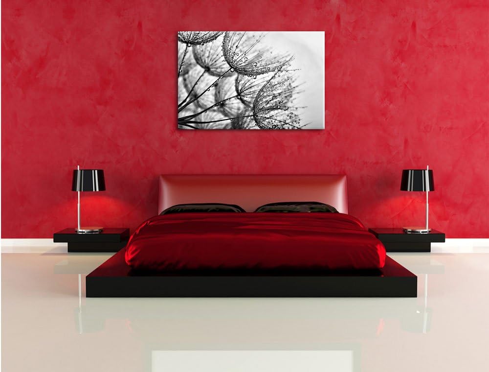 Pixxprint Monocrome, Tropfen bedeckte Pusteblumen, Format: 100x70 auf Leinwand, 100x70