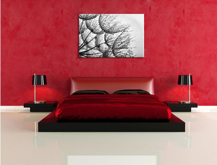 Pixxprint Monocrome, Tropfen bedeckte Pusteblumen, Format: 100x70 auf Leinwand, 100x70