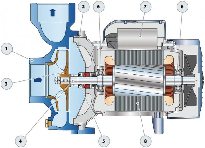 Pedrollo HFm5A Wasserpumpe 1,10 kW bis 36 m³/h, einphasig, 220 V