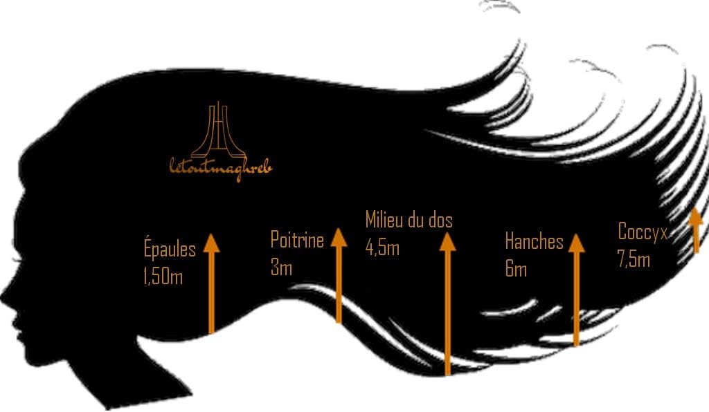 Kardoune authentisch Algeria [25m Rolle] Letoutmaghreb + Bedienungsanleitung [glättet das Haar natür