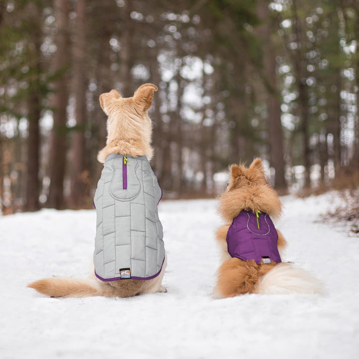 Kurgo Loft Hundejacke, Mit Hundegeschirr kombinierbar, Wasserdicht und reflektierend, Ideal für den