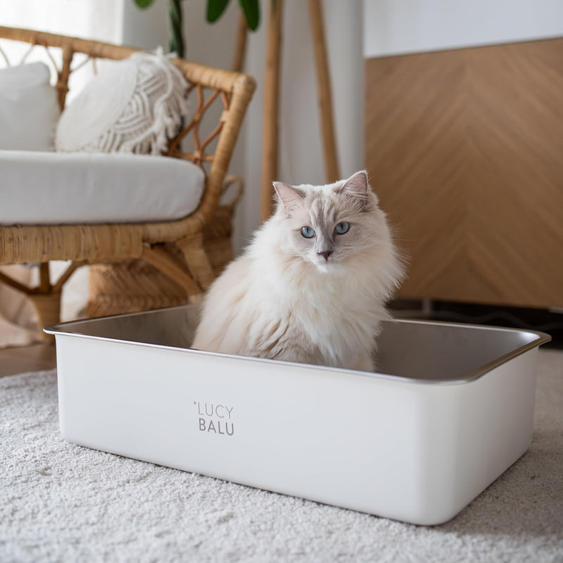 LucyBalu® Edelstahl Katzenklo geruchsfrei | grosse Katzentoilette aus Edelstahl | offenes Katzenklo