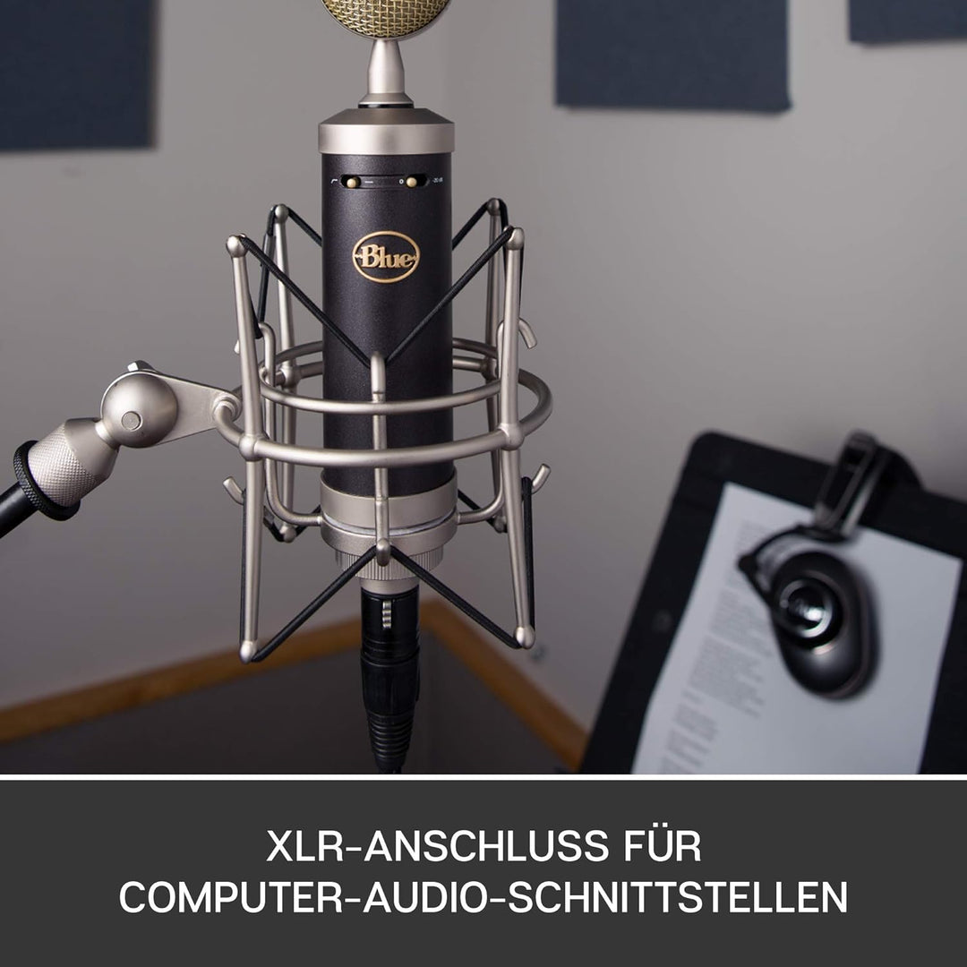 Blue Baby Bottle SL XLR Kondensatormikrofon für Aufnahmen und Streaming, mit Grossmembrankapsel, Hol