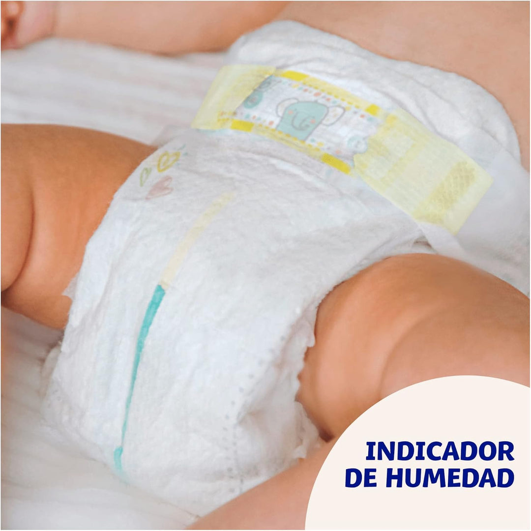 Dodot Sensitive Babywindeln, Grösse 1 (2-5 kg), 276 Windeln + 1 Pack mit 40 Tüchern, Aqua Plastic Fr