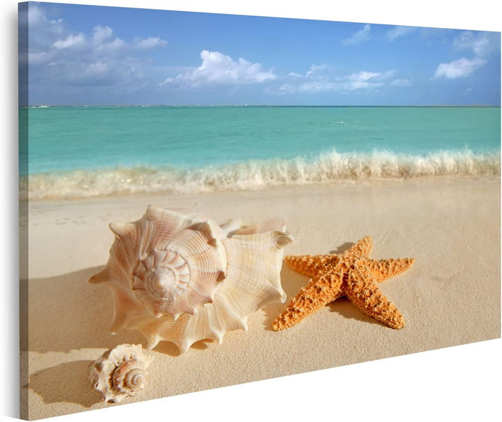 islandburner Bild auf Leinwand Meer Muschel Seestern Im Tropischen Sand Türkisfarbenes Meer Karibik