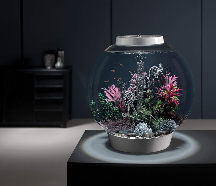 biOrb CLASSIC 60 LED weiss - dekoratives Aquarium Komplett-Set mit Filter-System, LED-Beleuchtung un
