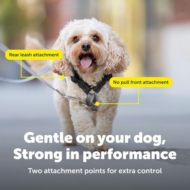 PetSafe 3-in-1-Geschirr mit Zweipunkt-Kontrollleine – kein Ziehen – Grösse L – Schwarz – verstellbar