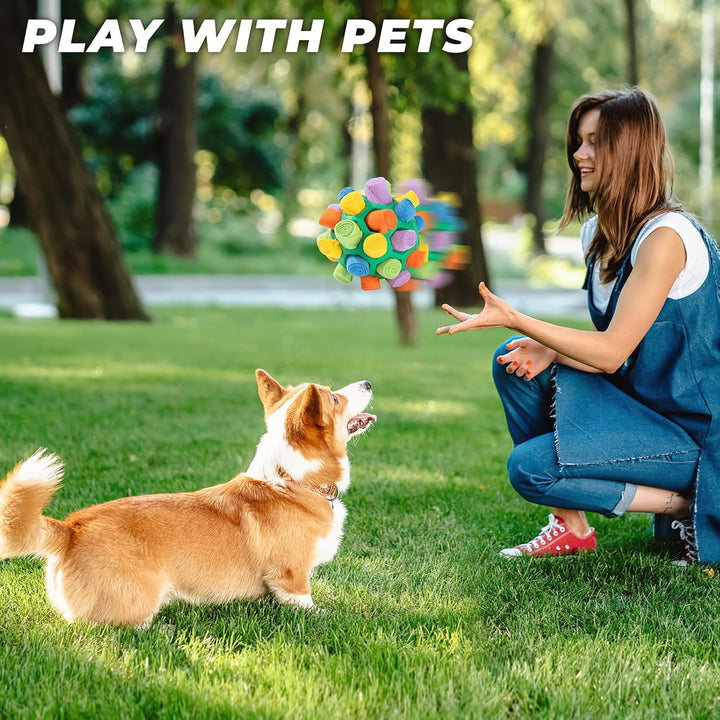 Schnüffelball für Hunde Interaktiver Schnüffelteppich Puzzle Spielzeug Tragbarer Slower Food Trainin