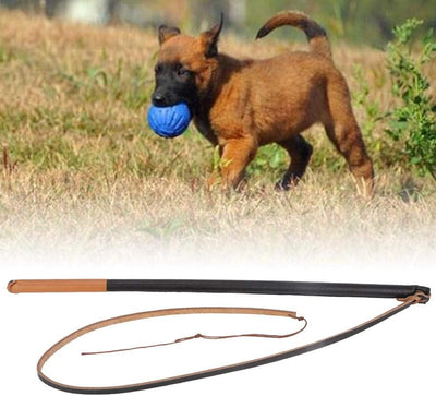 Hundetraining Peitsche Leder Handpeitsche Paddel Peitschen Pet Agitation Peitsche Hundetraining Werk