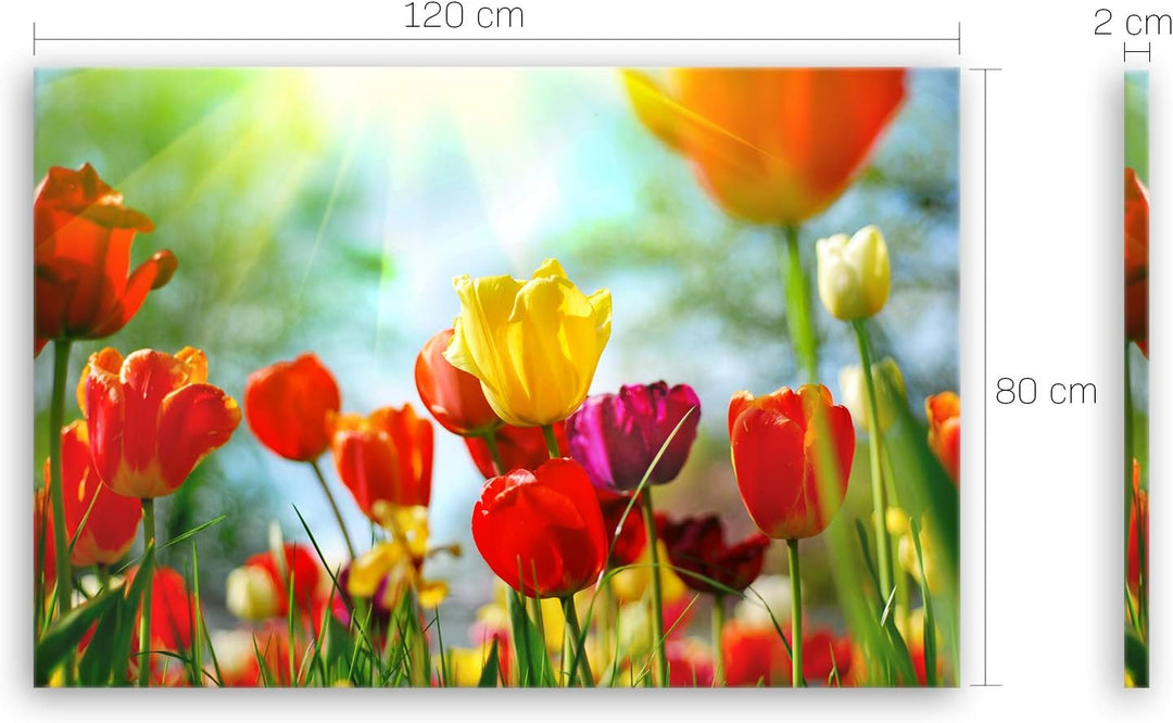 ge Bildet Bild auf Leinwand | Frühlings Tulpen in 120x80 cm als Wandbild XXL | Wand-deko Dekoration