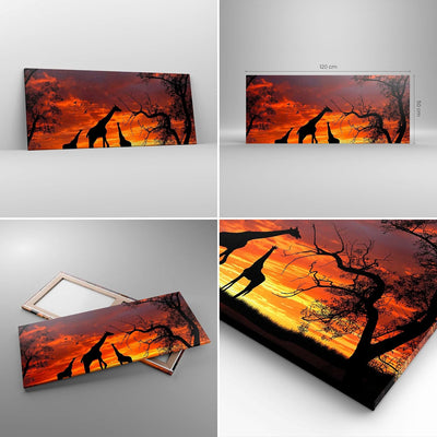 Wandbilder Dekoration Wohnzimmer Giraffe Afrika Sonne Safari Panorama Bilder auf Leinwand 120x50cm L