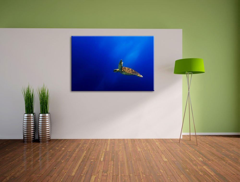 Alte Schildkröte im Meer Format: 100x70 auf Leinwand, XXL riesige Bilder fertig gerahmt mit Keilrahm
