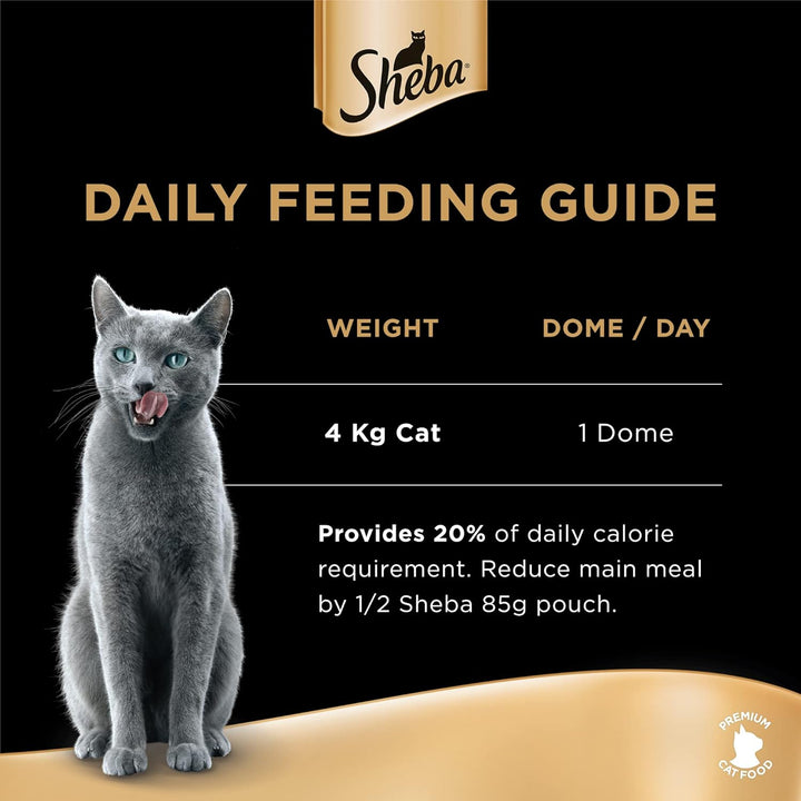 SHEBA® Schale Filets Huhn mit Garnelen 16 x 60g, Garnele