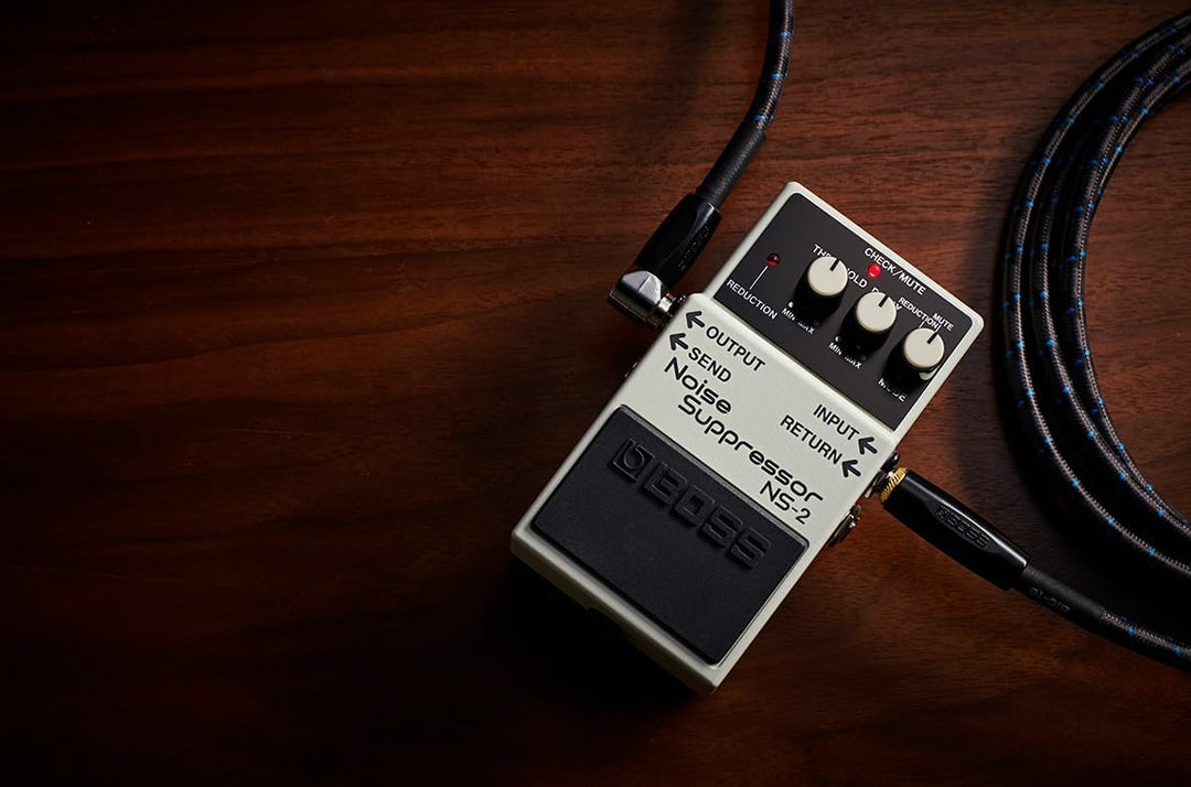 BOSS NS-2 Noise Cancelling Pedal, Pedal
