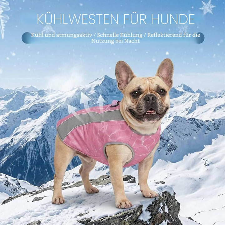Hundekühlweste mit Geschirr, Outdoor-Welpenkühljacke mit verstellbarem Reissverschluss, reflektieren