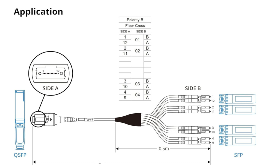 10Gtek Fiber Optic Cable Patch Cord - MPO to 8X LC Fanout Fiber Jumper Cable, OM3 MMF 8-core Fiber,