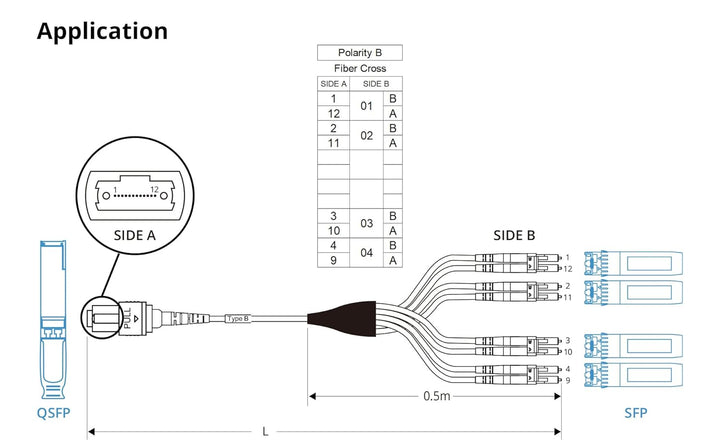 10Gtek Fiber Optic Cable Patch Cord - MPO to 8X LC Fanout Fiber Jumper Cable, OM3 MMF 8-core Fiber,