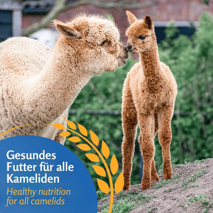 Leimüller Alpaka Futter Müsli 20 kg | Artgerechtes Alpakafutter aus Österreich | Futter für Alapakas