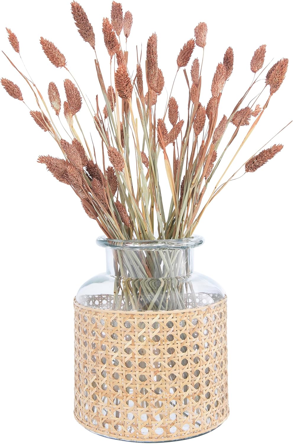 Bloomingville 20,3 cm H Glasvase mit dekorativer Rohrhülse 8” H, 8” H