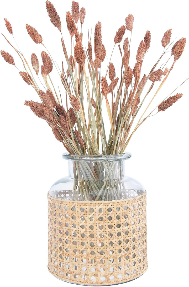 Bloomingville 20,3 cm H Glasvase mit dekorativer Rohrhülse 8” H, 8” H
