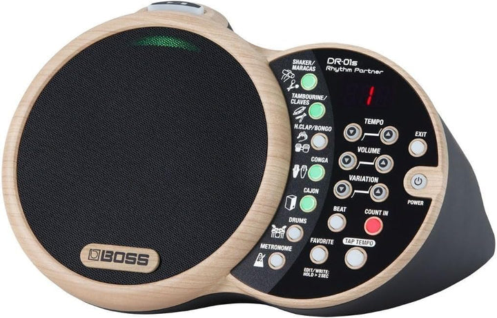 Boss DR-01S Rhythm Partner, DR-01S