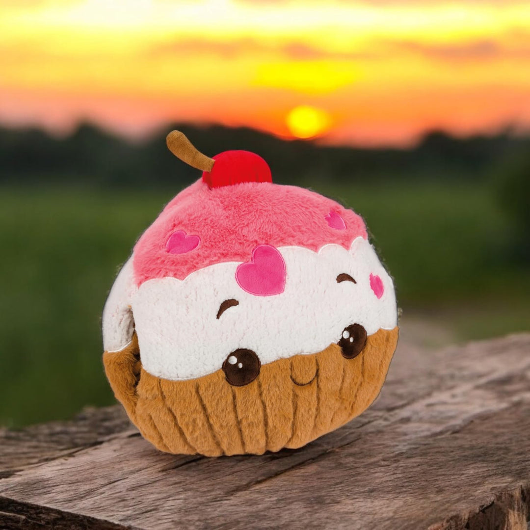 Handwarmer - Knuffel - Kussen - Cupcake