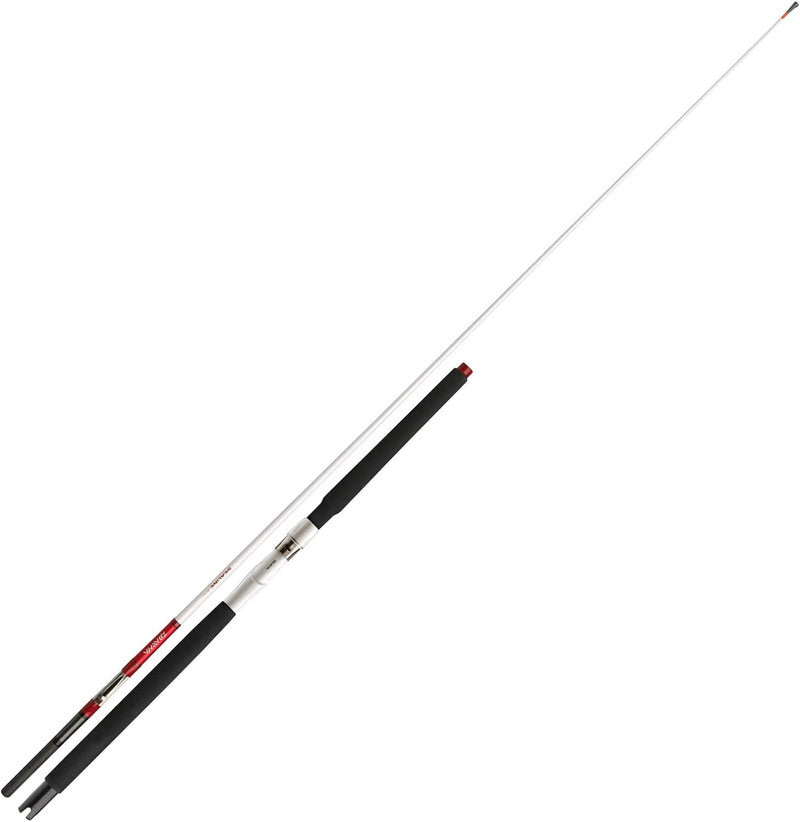 Daiwa Sealine X&