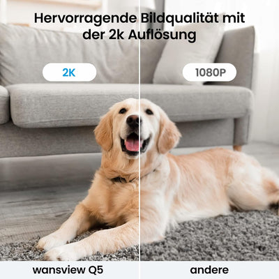 Wansview WLAN IP Kamera,1080P Überwachungskamera innen, 2.4Ghz WiFi schwenkbare Haustier Kamera , Ba