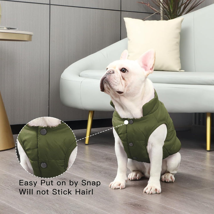 JoyDaog Fleece Hundejacke für Winter kaltes Wetter, Extra Weicher Hundemantel für Kleine Hunde, Wind
