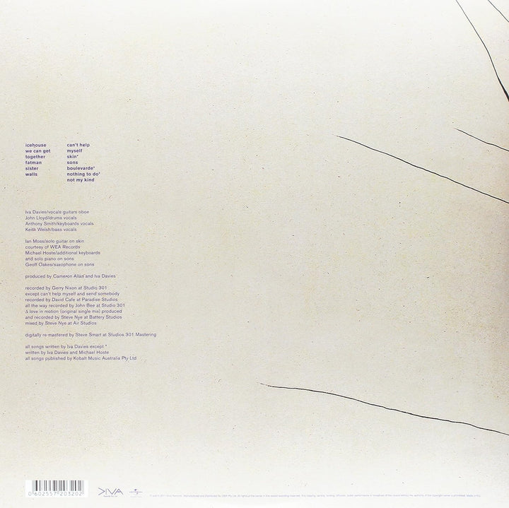 Icehouse, Vinyl