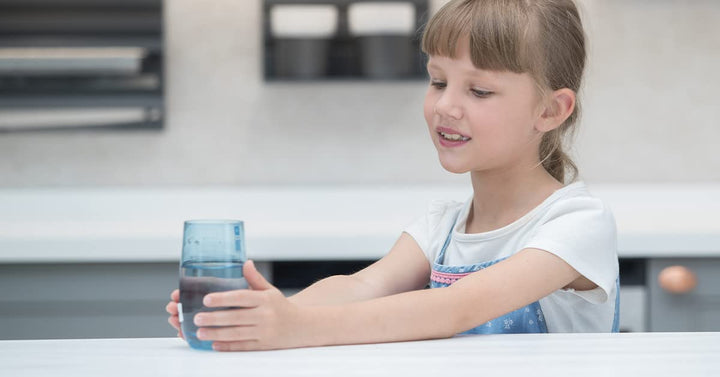 Geekpure 10-Zoll Ganzhaus Filtergehäuse - 3/4" BSP Messinganschluss - passend für 2,5" x 10" Filter