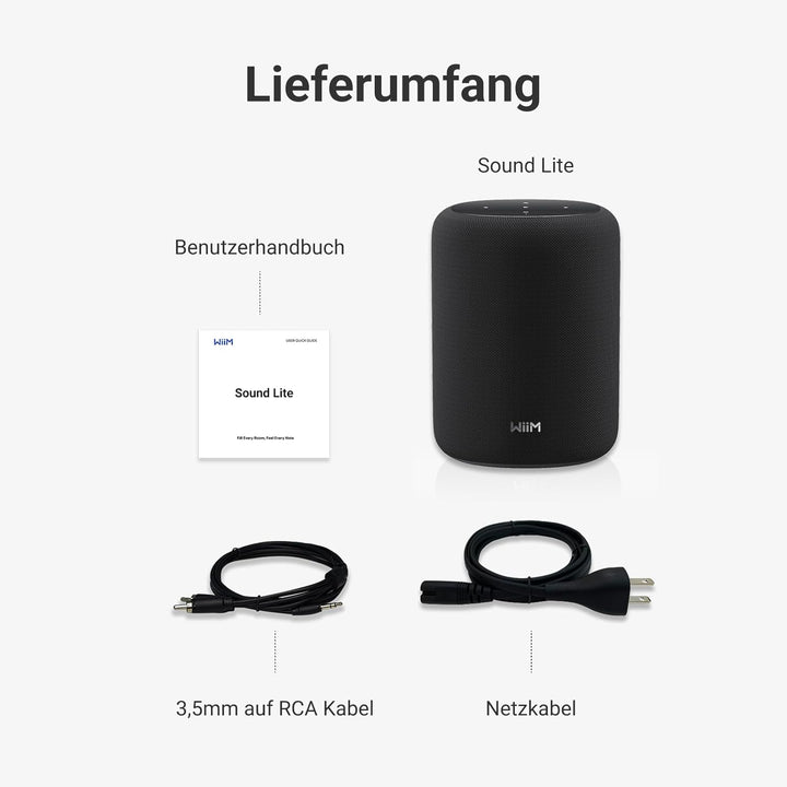 WiiM Sound Lite Smart Speaker, Hi-Res 24-bit/192 kHz, AI RoomFit™ Raumkorrektur, 100W Peak, WLAN 6E/