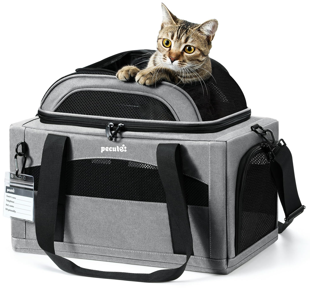 pecute Katzentasche Flugzeug Transporttasche Stabiler Halt Haustier Tragetasche, Transportbox Katze