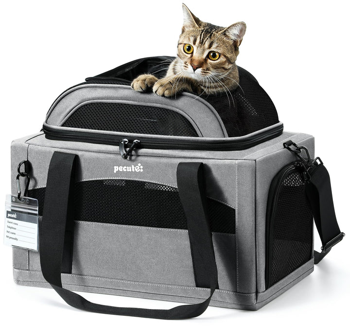 pecute Katzentasche Flugzeug Transporttasche Stabiler Halt Haustier Tragetasche, Transportbox Katze