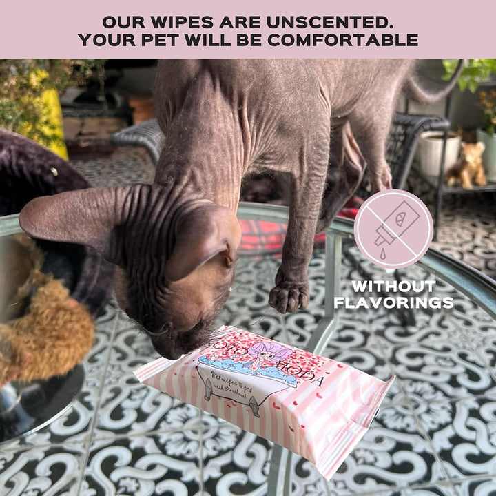 Feuchttücher mit Panthenol für Sphynx Katze für den täglichen Gebrauch (16 Packung/240 Stück) 1 stüc