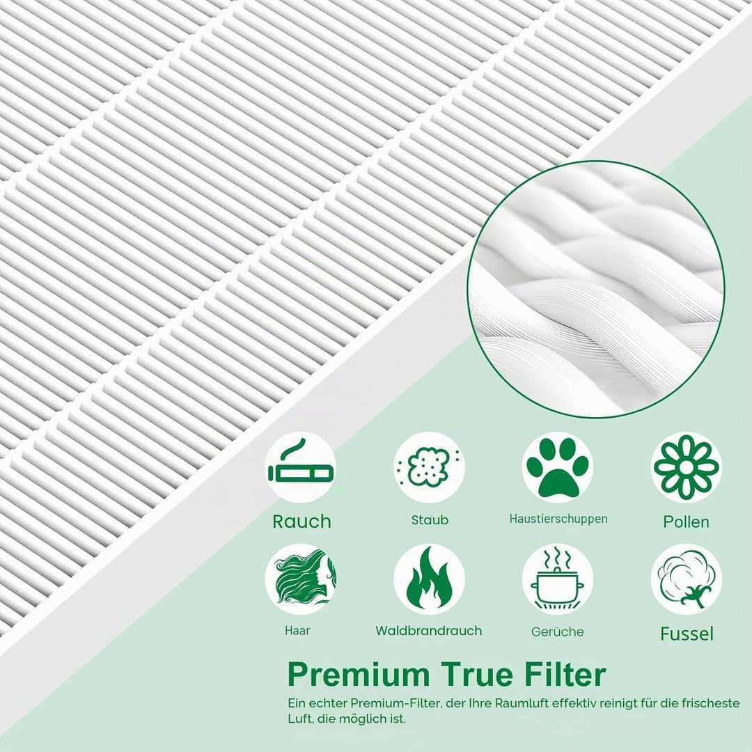 116130 Ersatzfilter H für Winix 5500-2 AM80 Luftreiniger, echte HEPA-Aktivkohle-Vorfilter, 2 Stück w