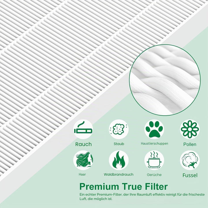 116130 Ersatzfilter H für Winix 5500-2 AM80 Luftreiniger, echte HEPA-Aktivkohle-Vorfilter, 2 Stück w